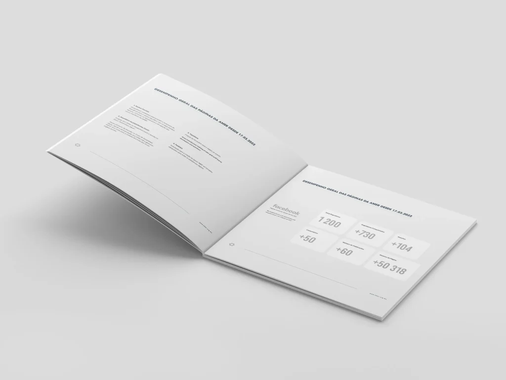 viewpoint - Amer Brochure 2