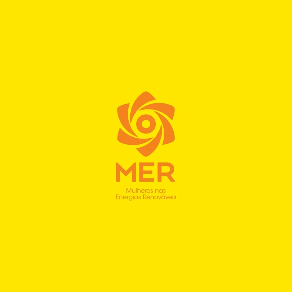 viewpoint portfolio - mer secondary